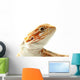 Pet lizard Bearded Dragon isolated on white, narrow focus Wall Decal