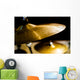Drums, Cymbal and Instruments Wall Mural
