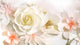 Roses Flower Wedding Background Wall Decal