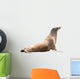 Earless Seal Wall Decal