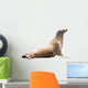 Earless Seal Wall Decal