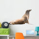 Earless Seal Wall Decal