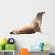 Earless Seal Wall Decal