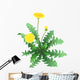 Dandelion Flower Wall Decal