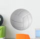 Volleyball Ball Wall Decal