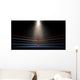 Boxing Corner Spotlit Dark Wall Mural
