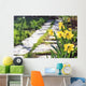 footpath garden grass track narcissus flowers background Wall Mural