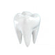 Tooth 3D Illustration Wall Decal