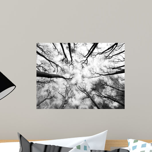 Forest Wall Decal