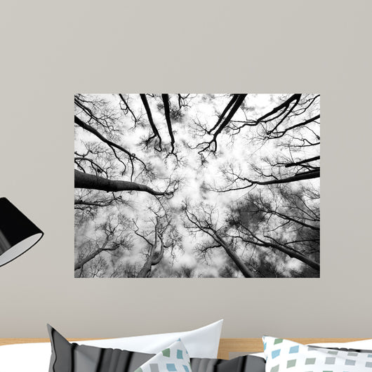 Forest Wall Decal