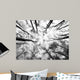 Forest Wall Decal