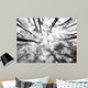 Forest Wall Decal