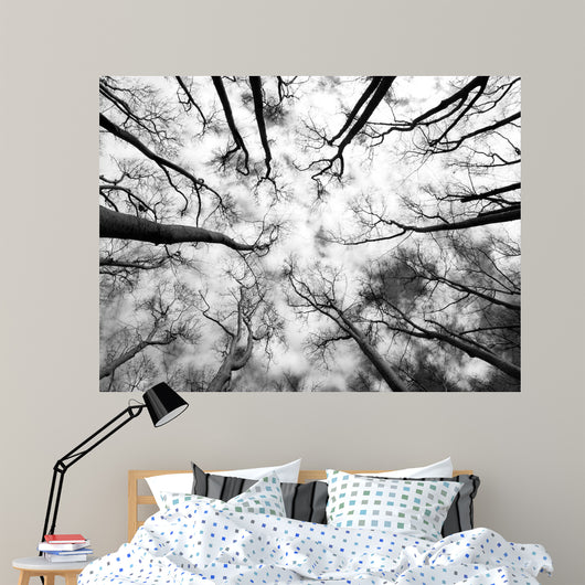Forest Wall Decal