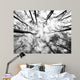 Forest Wall Decal