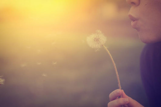 Woman Blowing Dandelion Wall Decal