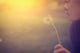 Woman Blowing Dandelion Wall Decal
