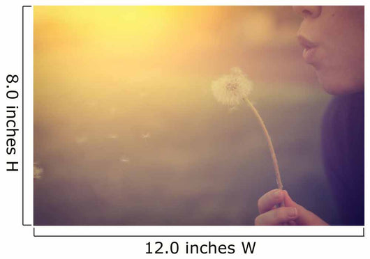 Woman blowing dandelion Wall Mural