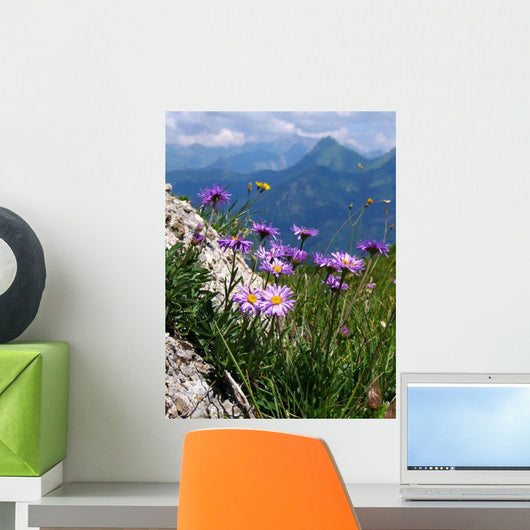 Asters Des Alpes Wall Decal