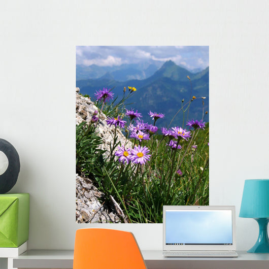 Asters Des Alpes Wall Decal
