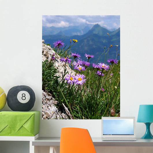 Asters Des Alpes Wall Decal