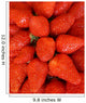 Strawberry Strawberry Strawberries Wall Decal