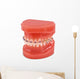 braces model Wall Decal