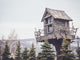 Wooden Tree House With A Retro Filter Effect Wall Decal