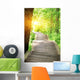 hiking trail on jiuzhaigou national park in china  Wall Mural