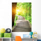 hiking trail on jiuzhaigou national park in china  Wall Mural
