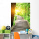 hiking trail on jiuzhaigou national park in china  Wall Mural