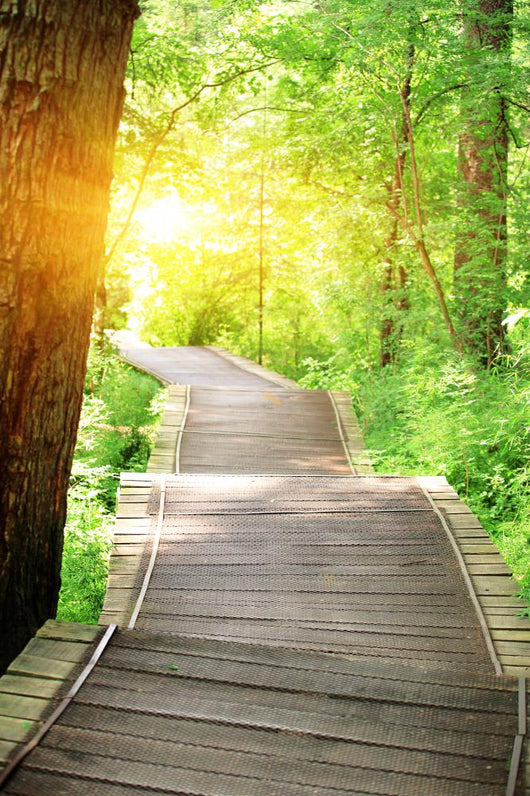 Hiking Trail On Jiuzhaigou National Park In China Wall Decal
