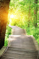 Hiking Trail On Jiuzhaigou National Park In China Wall Decal