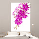 Purple Phalaenopsis Orchids up Wall Decal