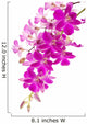 Purple Phalaenopsis Orchids up Wall Decal