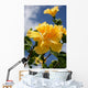 yellow double headed hibiscus Wall Mural