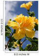 yellow double headed hibiscus Wall Mural