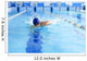 Swimmer Wall Mural