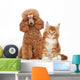 Poodle and Cat Wall Decal