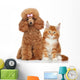 Poodle and Cat Wall Decal