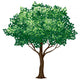 Foliage Tree Wall Decal