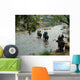 Crossing the river Wall Mural