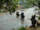 Crossing The River Wall Decal