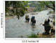 Crossing the river Wall Mural