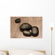 Four lava stones Wall Mural