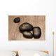 Four lava stones Wall Mural