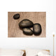 Four lava stones Wall Mural