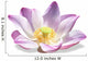 lotus Wall Decal