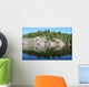 Canadian Reflection Wall Mural