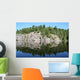 Canadian Reflection Wall Mural