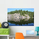 Canadian Reflection Wall Mural